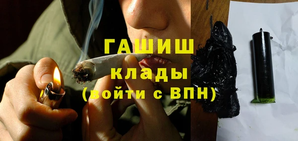 шишки Коряжма