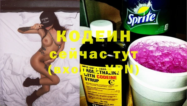 шишки Коряжма