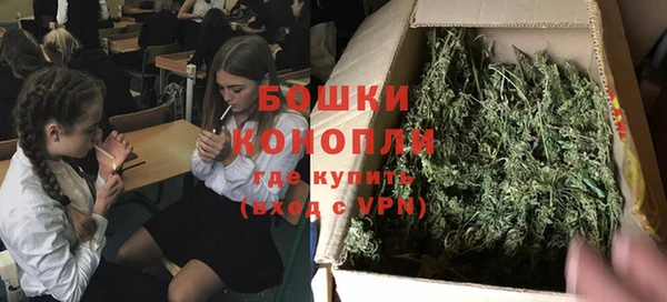 шишки Коряжма