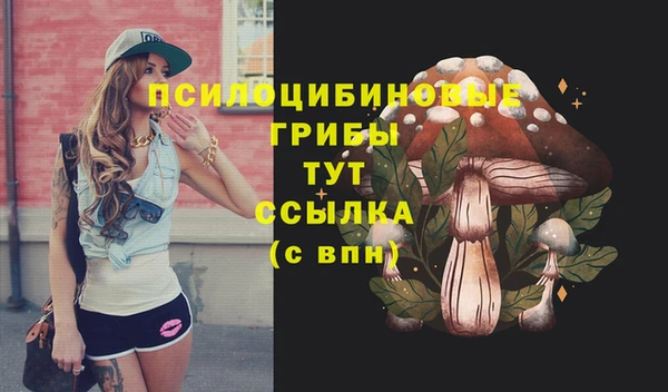 шишки Коряжма
