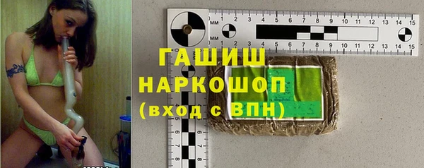 шишки Коряжма