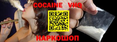 стафф Гатчина