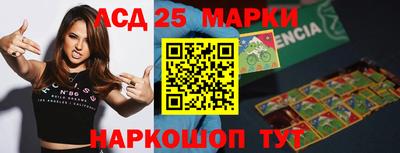 стафф Гатчина