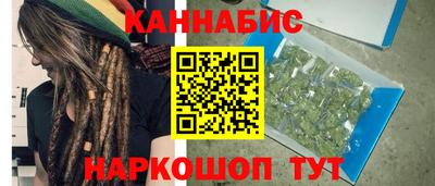 стафф Гатчина