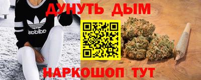 стафф Гатчина