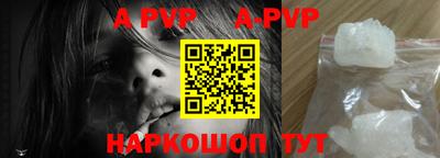 стафф Гатчина