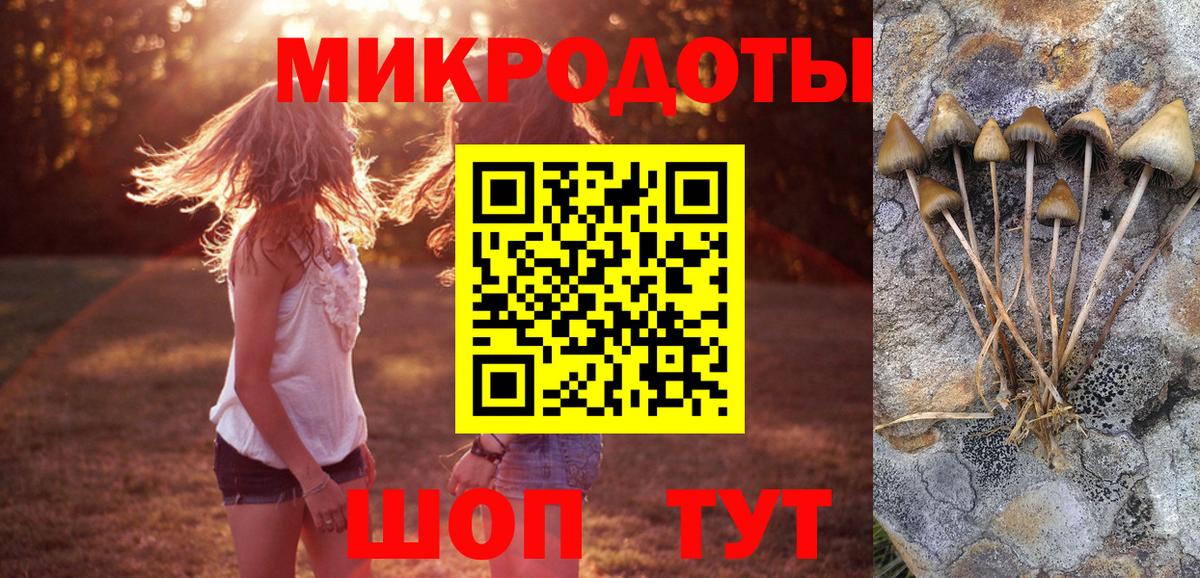 Гусь-Хрустальный  Псилоцибиновые грибы Cubensis  Вход с VPN 